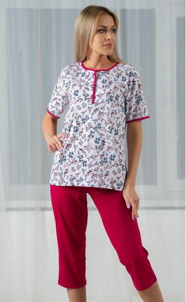 Комплект футболка с бриджами "Сухие цветы на снегу"